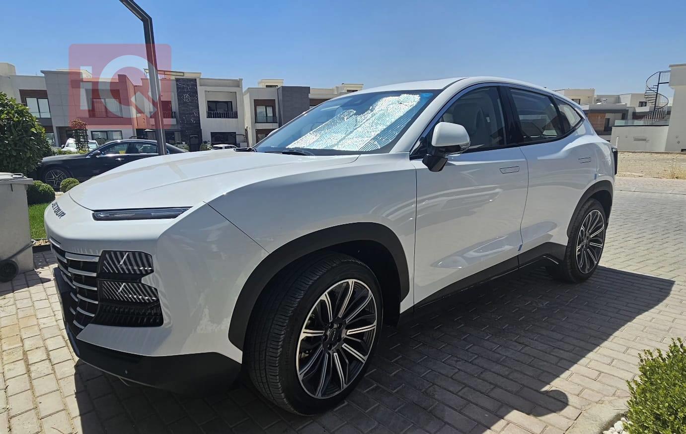 جيتور داشينج